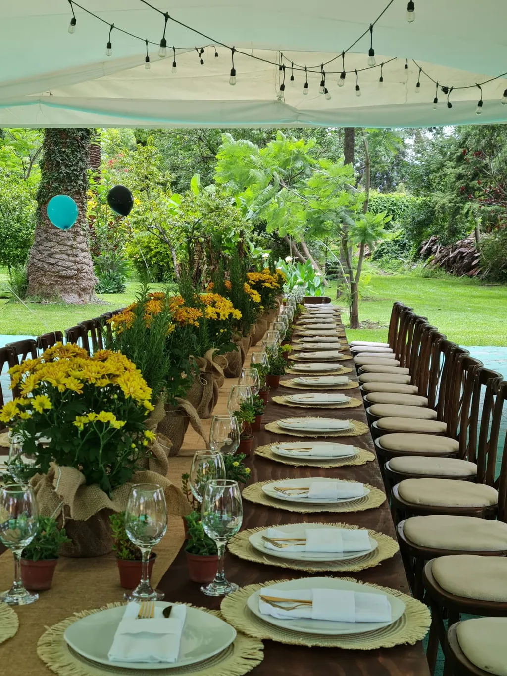 Mesa larga de madera bajo carpa con series de focos, centros de flores amarillas en macetas con yute, bajo platos de fibra y sillas crossback